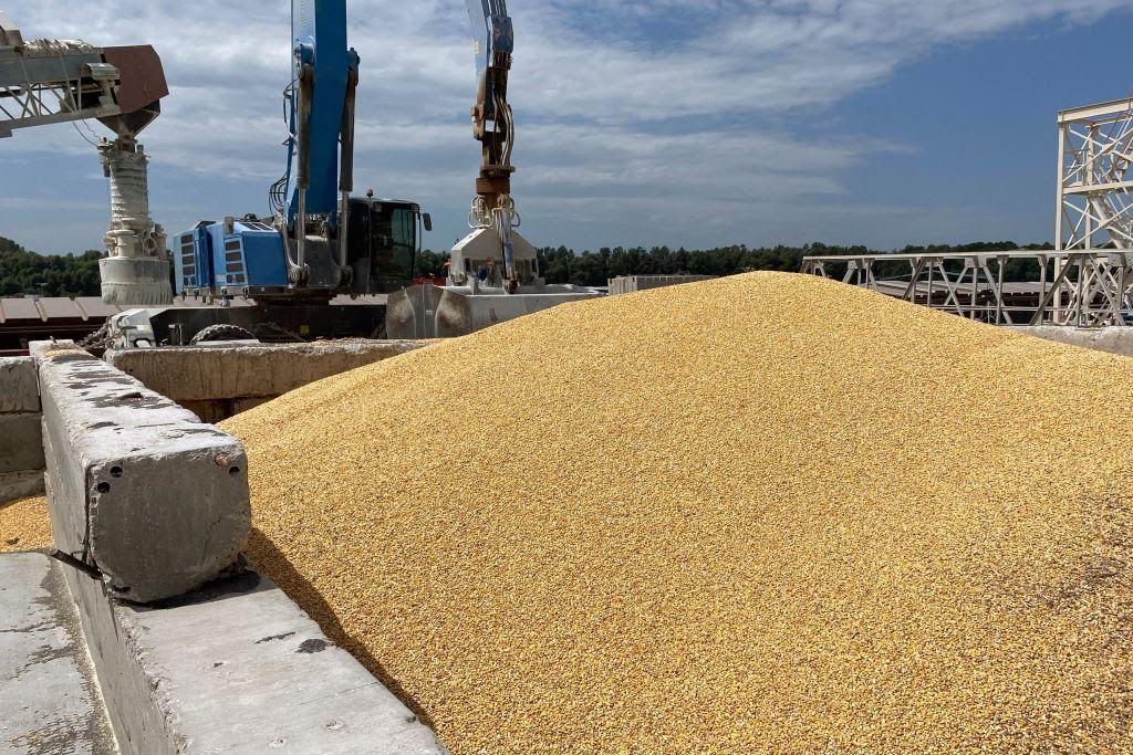 EU to hike tariffs on Ukrainian imports amid Poland's push, FT reports