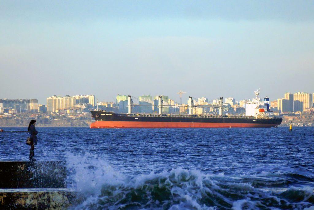 National Bank: Ukraine's losses from Polish blockade partially offset by maritime trade
