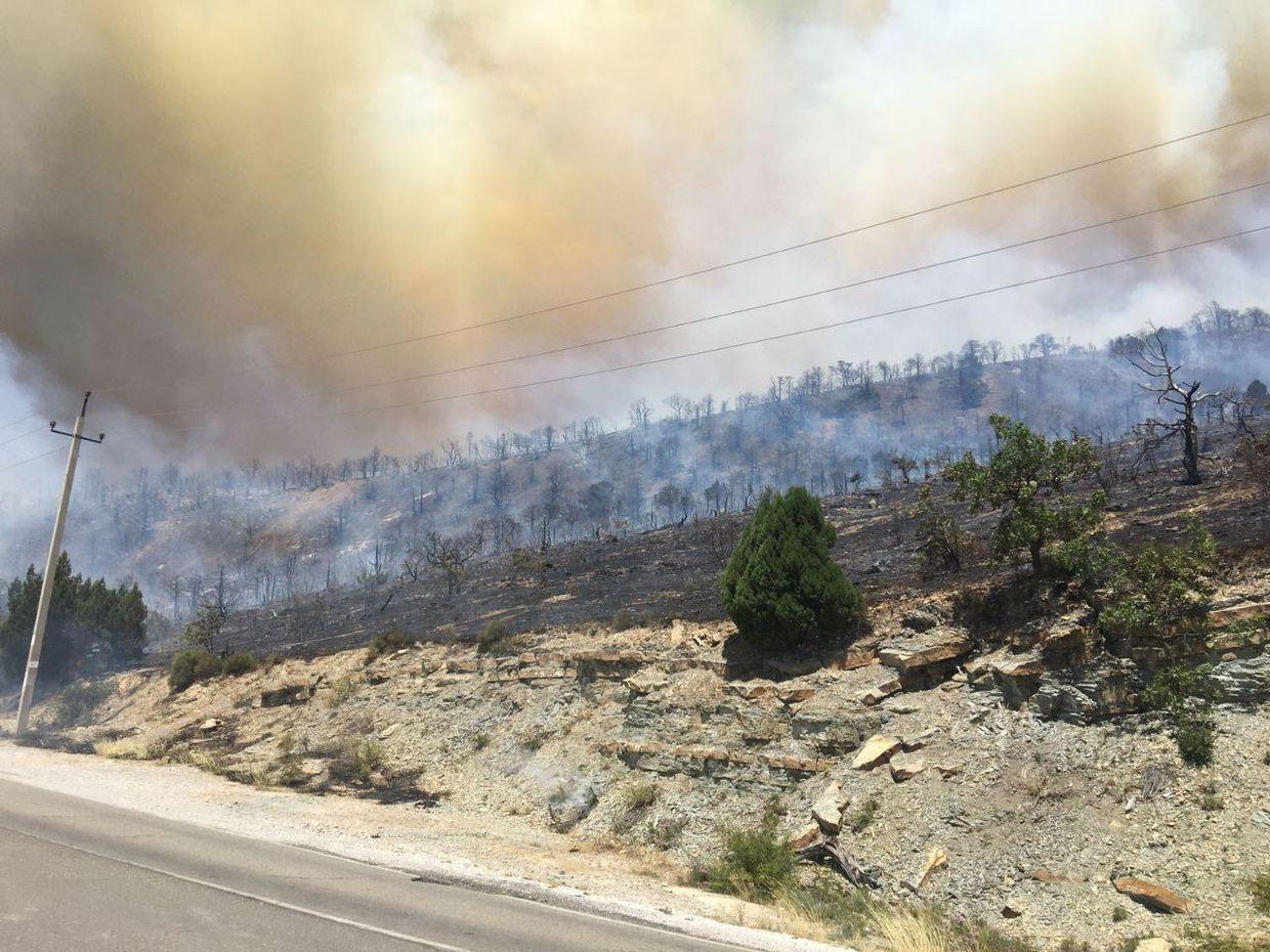 Authorities declare state of emergency in Russia's Novorossiysk as wildfires rage