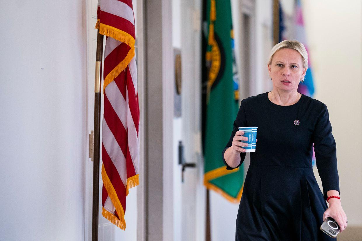 Kyiv responds to Ukrainian-born US lawmaker's controversial comments on Zelensky, occupied territories