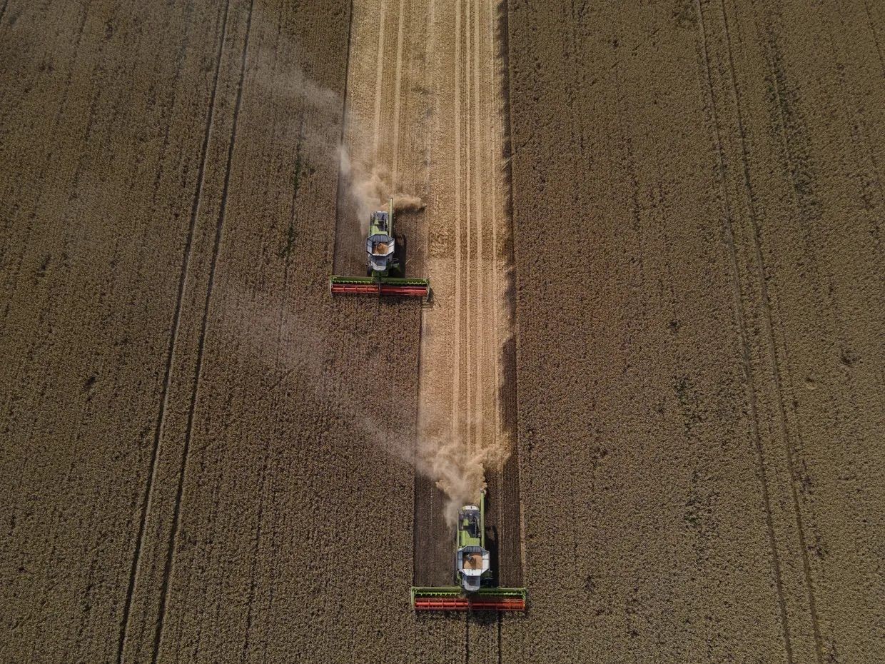 Ukraine's agriculture industry has lost $80 billion due to Russian invasion, minister says