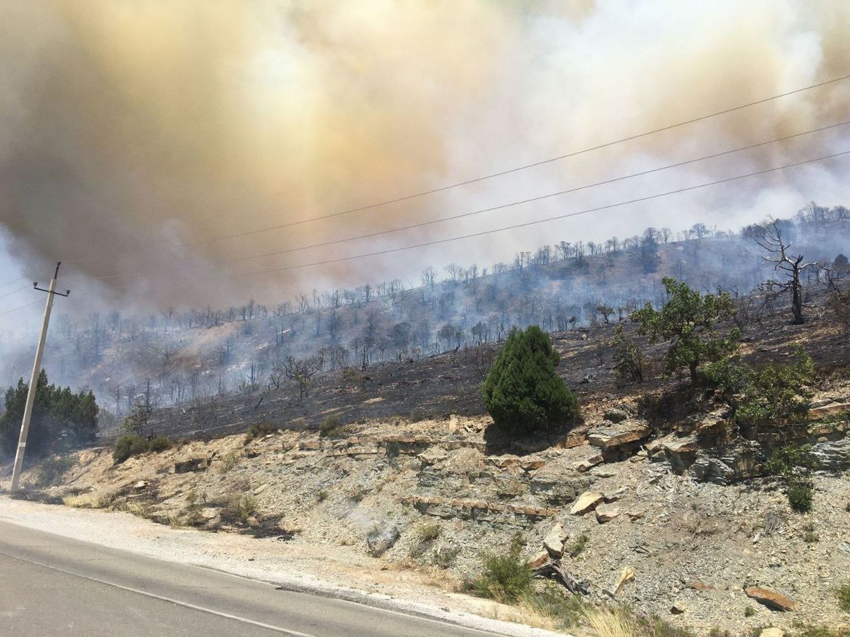 Authorities declare state of emergency in Russia's Novorossiysk as wildfires rage