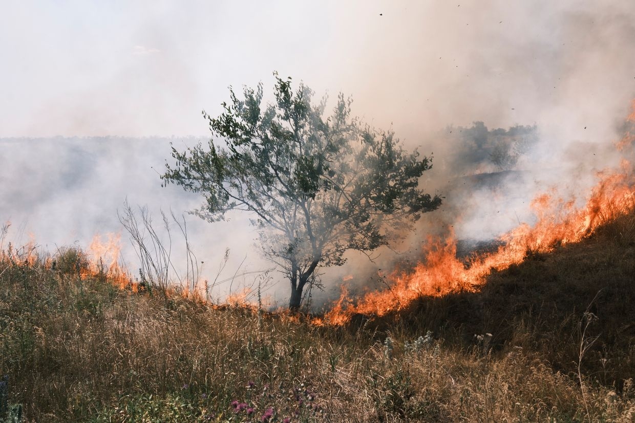 The land is burning after the shelling in the village of Nova Poltavka, Donetsk Oblast, Ukraine on July 2, 2024.