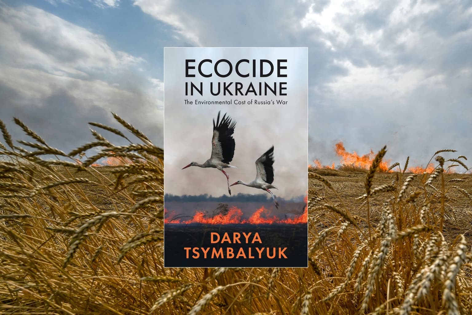 Fire destroying a wheat field as Russian troops shell farmland in Zaporizhzhia Oblast, Ukraine, on July 17, 2022.