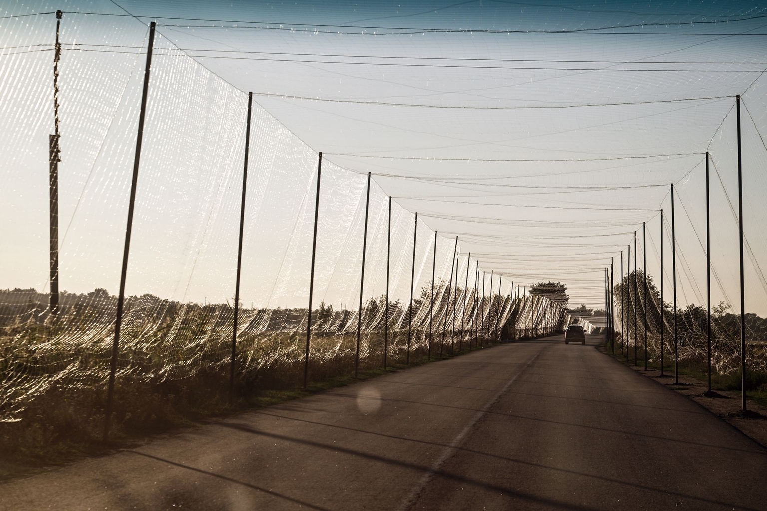 An anti-drone tunnel in Zaporizhzhia Oblast, Ukraine on Sept. 13, 2025.