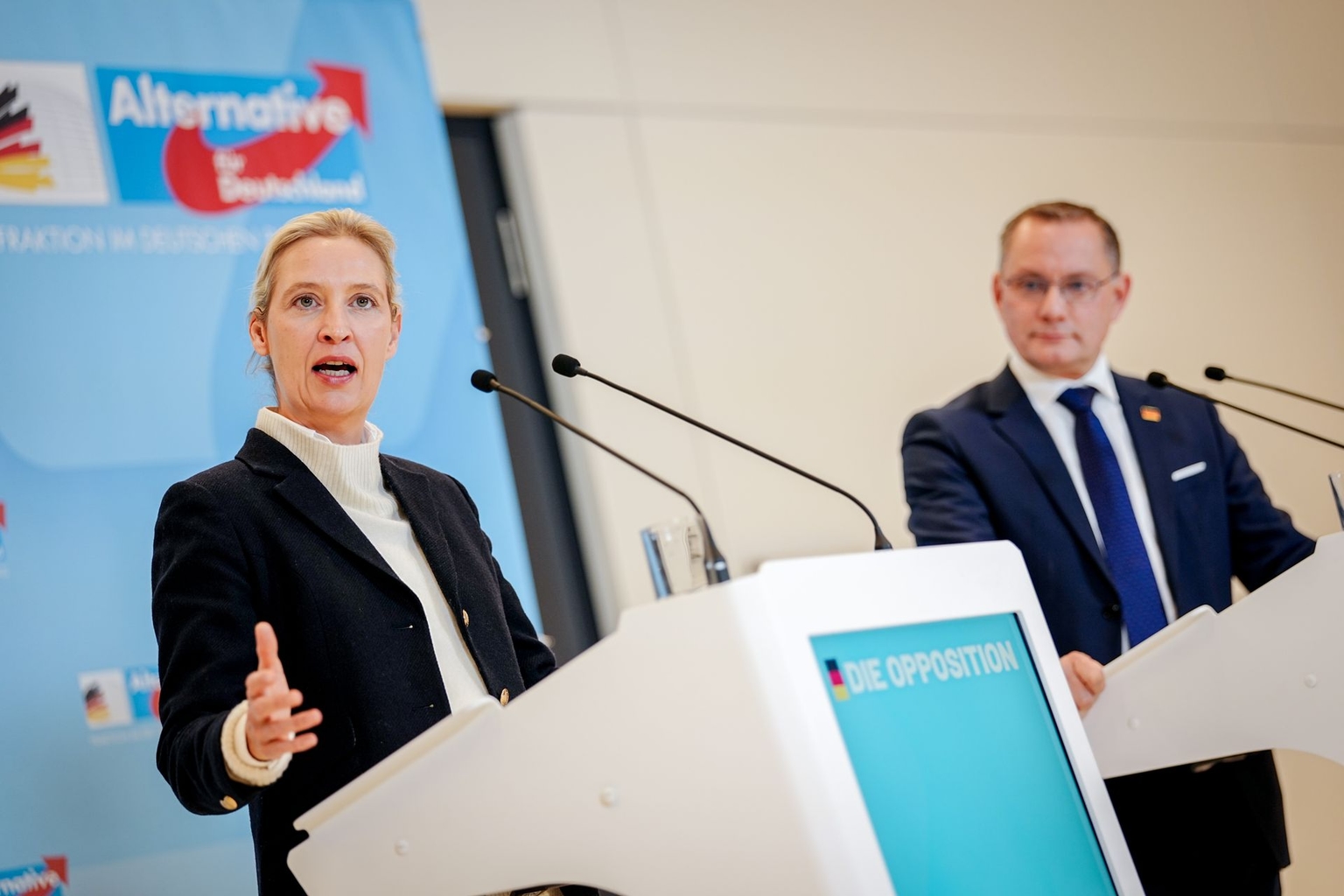 Alice Weidel (L) and Tino Chrupalla (R) in Berlin, Germany, on Nov. 24, 2025.