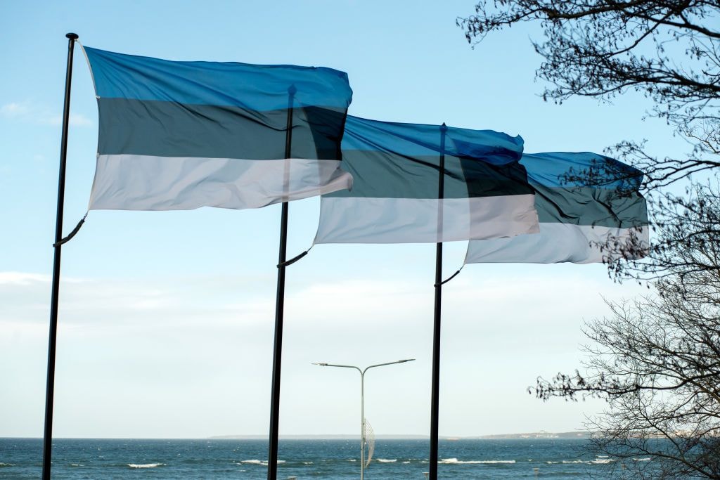 Estonian flags on the shoreline of the Baltic Sea in Tallinn, Estonia, on Feb. 1, 2024. (Peter Kollanyi/Bloomberg via Getty Images