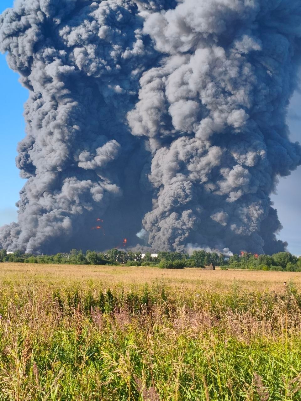 Letting Russia burn