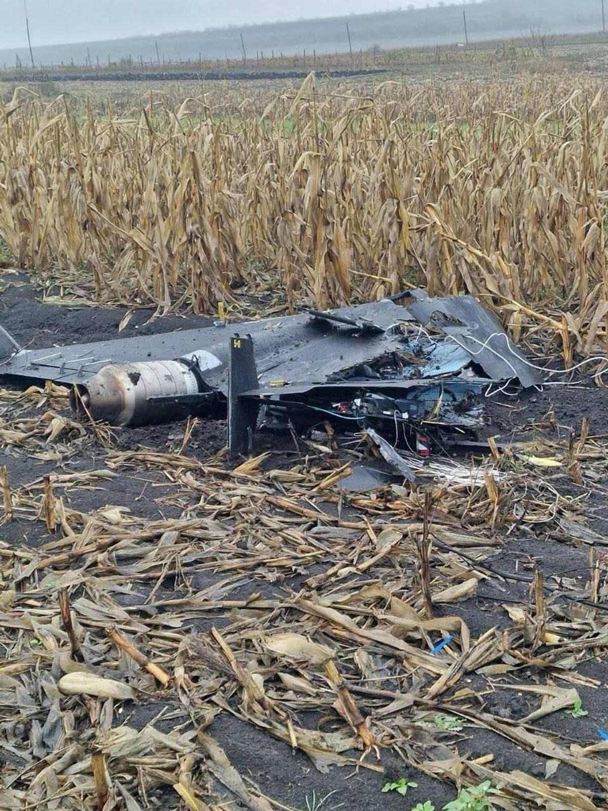 Moldova expels Russian diplomat after Russian Geran drone falls near family homes