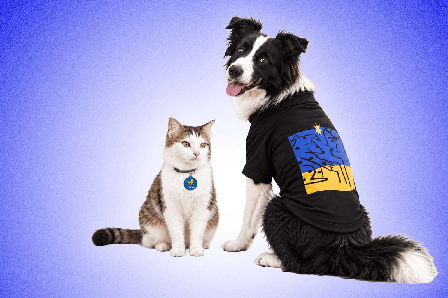 Items from the Kyiv Independent charitable merchandize Companion Collection 🐾