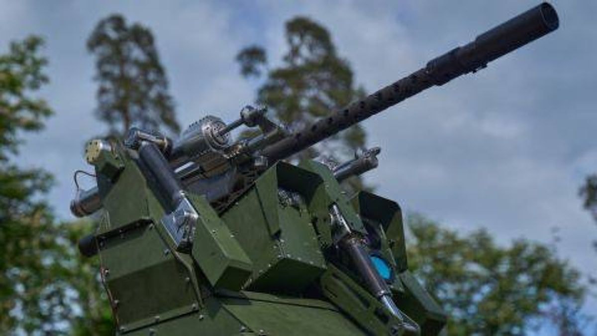 Photo for illustrative purposes: Sky Sentinel air defense turret (Photo via Serhii "Flash" Beskrestnov on Telegram, Oct. 5, 2026)